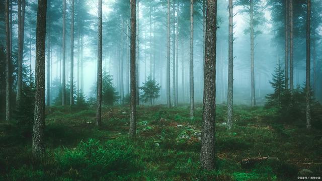 牛皮紙袋為企業(yè)和社會(huì)帶來(lái)的巨大好處 第3張 牛皮紙袋為企業(yè)和社會(huì)帶來(lái)的巨大好處 第3張