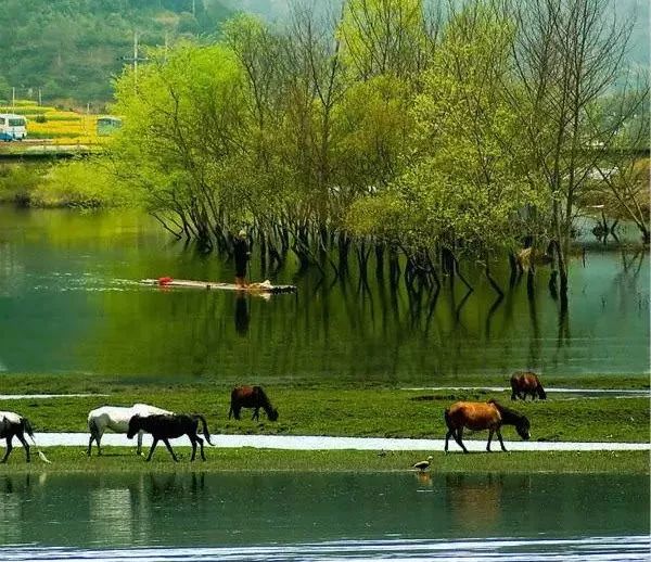 紙袋真的比塑料袋更環保嗎? 第7張 紙袋真的比塑料袋更環保嗎? 第7張