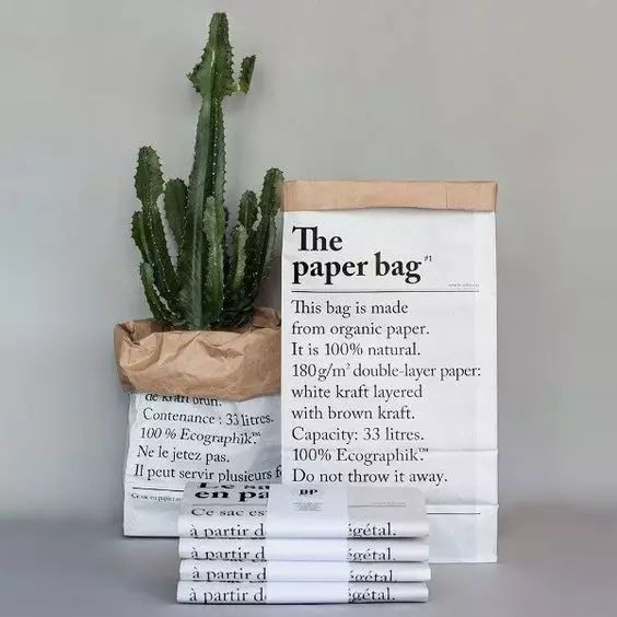 牛皮紙袋這么一套,綠蘿都變洋氣了 第12張 牛皮紙袋這么一套,綠蘿都變洋氣了 第12張