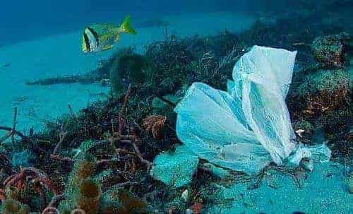 環(huán)保科普 | 為什么要禁塑、限塑？ 第3張