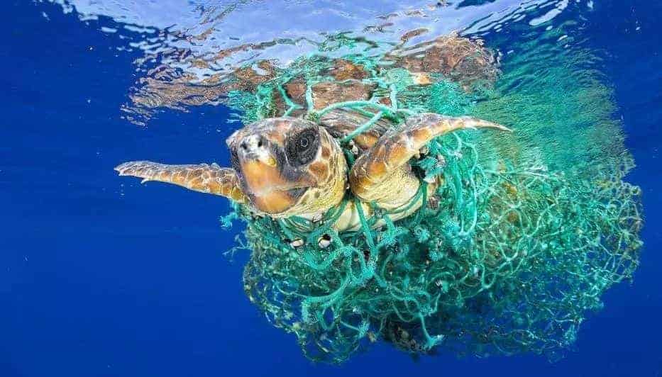 環(huán)保科普 | 為什么要禁塑、限塑？ 第9張