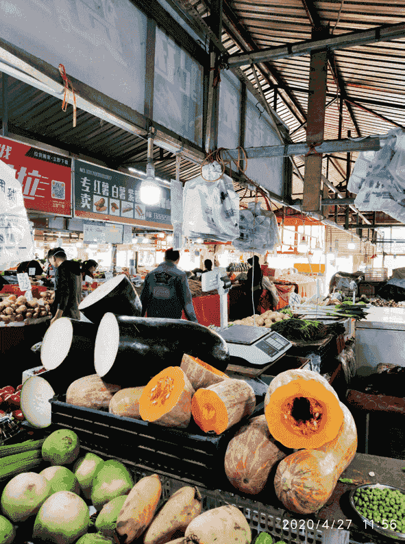 環(huán)保科普 | 為什么要禁塑、限塑？ 第13張