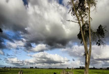 長(zhǎng)治市建成區(qū)禁限使用不可降解塑料袋