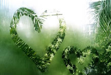 2025成都糖酒會觀察：白酒大佬PK新銳潮飲，這屆展商太會玩