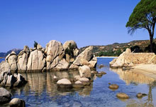 別光圖便宜,這些環保袋發放機貴一點但是真的好