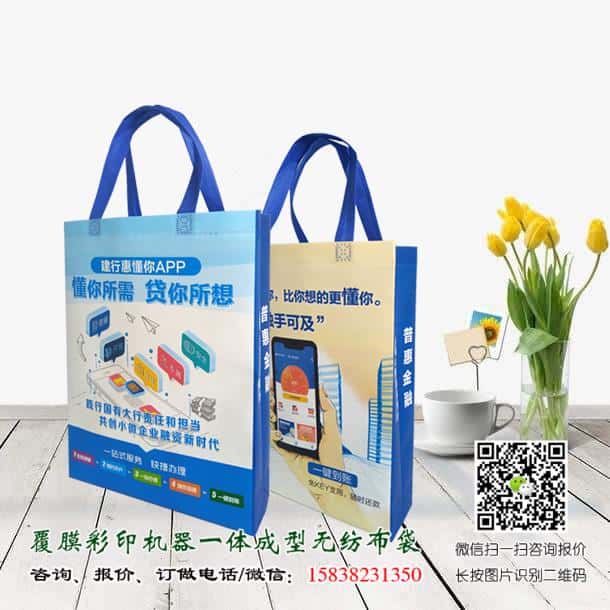 禁塑令開始后 禁塑替代品無紡布袋價格便宜嗎？  第3張