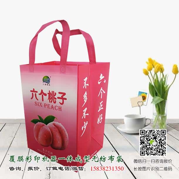 禁塑令開始后 禁塑替代品無紡布袋價格便宜嗎？  第2張