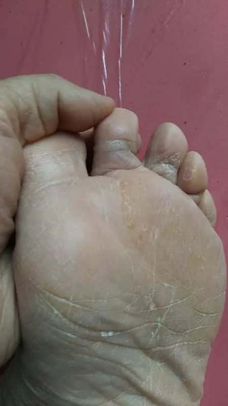 宣賓老師最新分享_大道至簡——小米袋(附宣賓老師書訊)  第6張