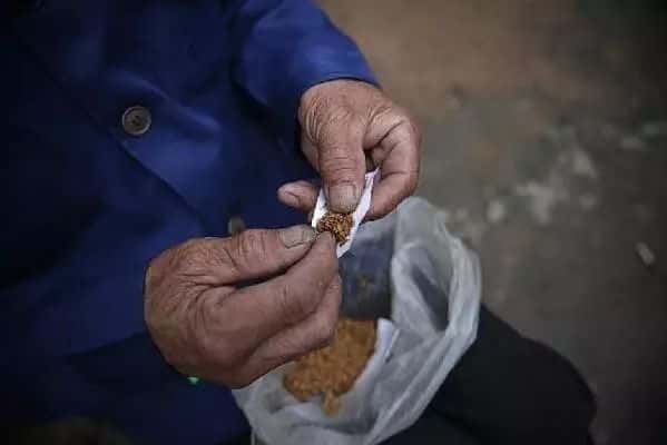 山區(qū)留守老人黃小米銷路難,緊急求援,讓我們一起轉發(fā),給他們多一份希望. 第6張 山區(qū)留守老人黃小米銷路難,緊急求援,讓我們一起轉發(fā),給他們多一份希望. 第6張