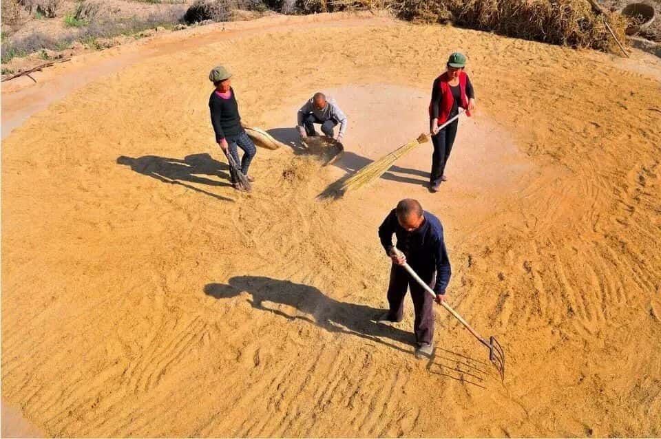 山區(qū)留守老人黃小米銷路難,緊急求援,讓我們一起轉發(fā),給他們多一份希望. 第8張 山區(qū)留守老人黃小米銷路難,緊急求援,讓我們一起轉發(fā),給他們多一份希望. 第8張