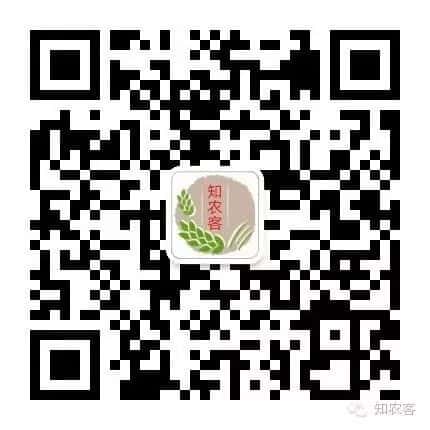 山區(qū)留守老人黃小米銷路難,緊急求援,讓我們一起轉發(fā),給他們多一份希望. 第12張 山區(qū)留守老人黃小米銷路難,緊急求援,讓我們一起轉發(fā),給他們多一份希望. 第12張