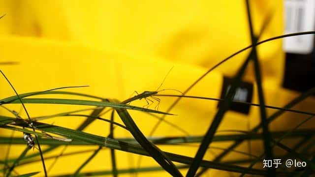 小米上線29元小背包，真的好用嗎？  第25張